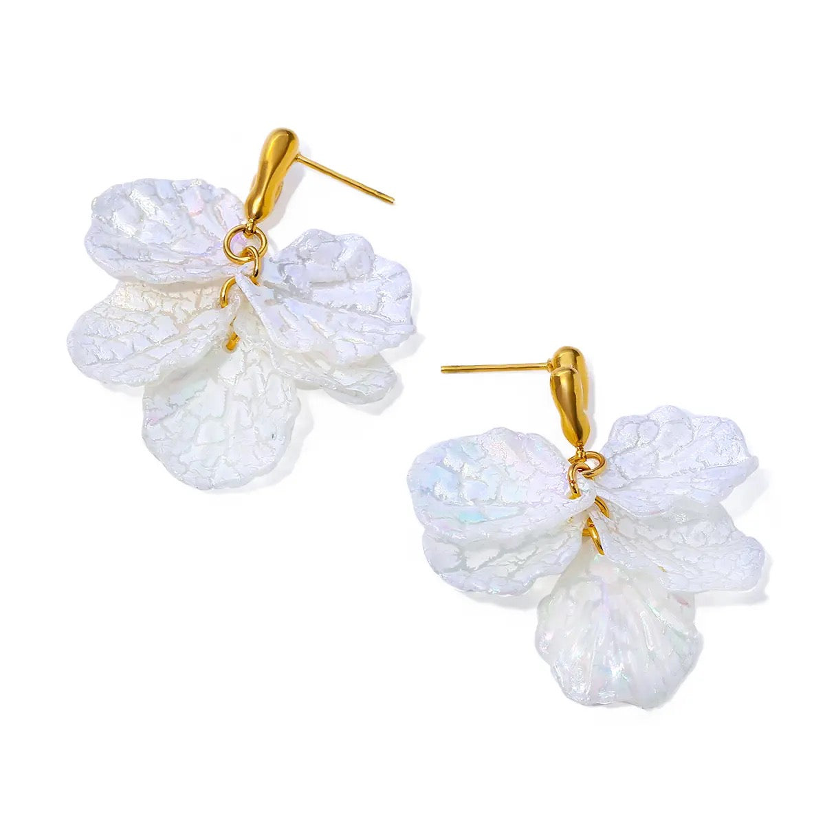 CORALLO earrings-0