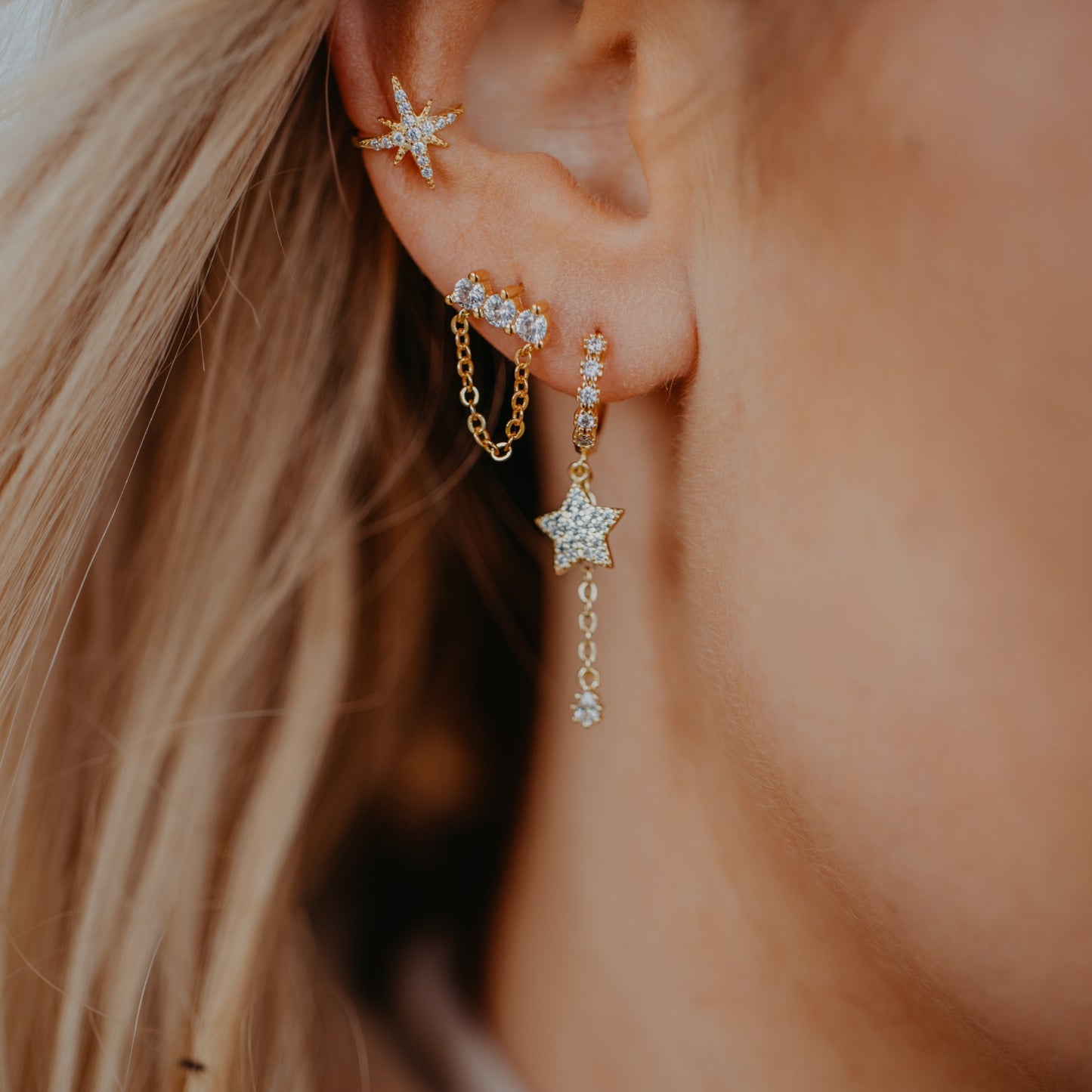 MONTAGNE Earrings-1